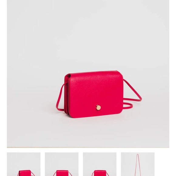 Lindquist Object Ray in Pitaya - Picture 2 of 9